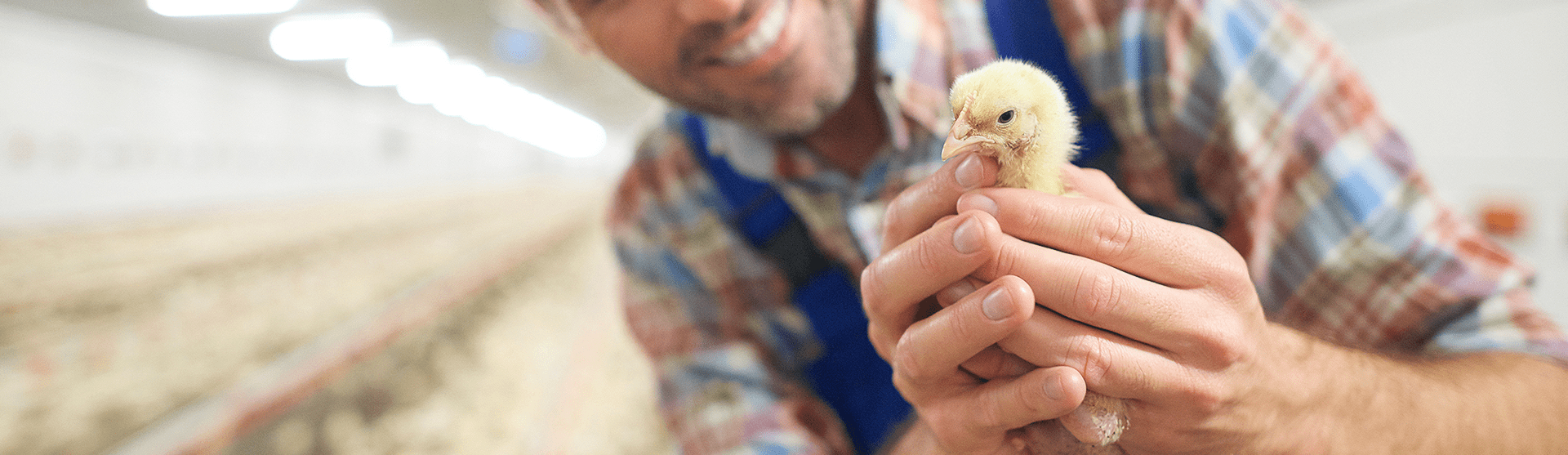 Cras vulputate et massa sed ultricies